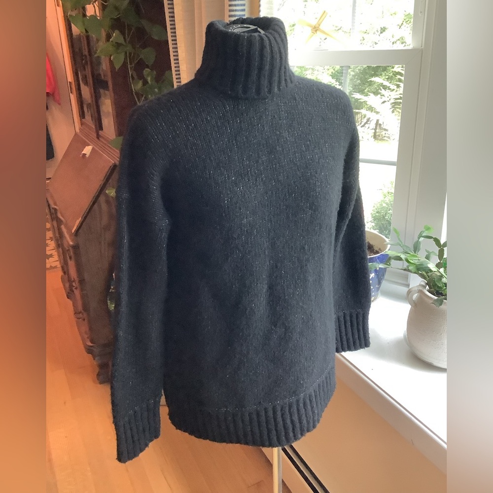 GUC Everlane Black Cloud Turtleneck Sweater